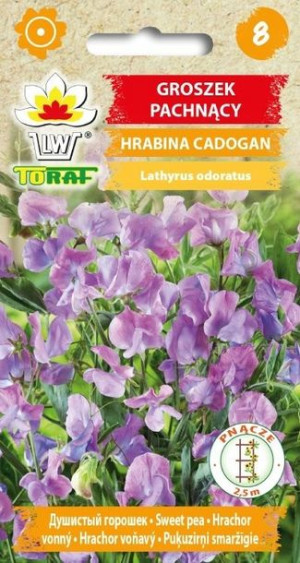 Toraf Nasiona Groszek pachnący Hrabina Cadogan 1G