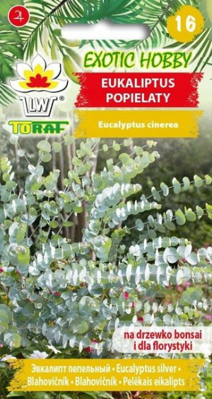 Toraf Nasiona Exotic Eukaliptus popielaty