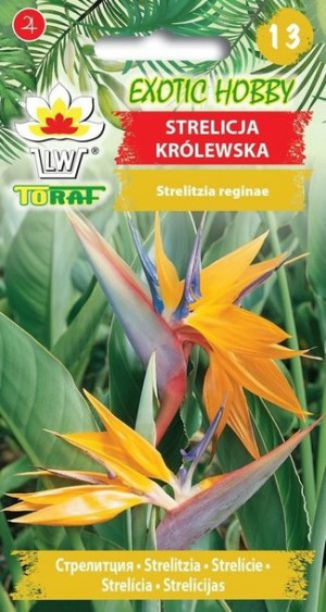 Toraf Nasiona Exotic Strelicja królewska