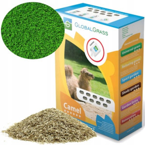 Trawa Camel 1kg Miejsca Nasłonecznione Suche