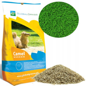 Trawa Camel 25kg Miejsca Nasłonecznione Suche