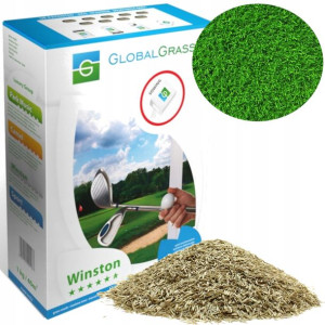 TRAWA WINSTON nasiona traw TRAWNIK 2kg
