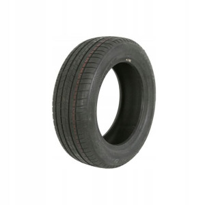 1x PROFIL 205/55R16 91V Aqua Race Evo Plus