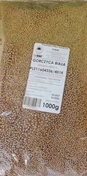 Gorczyca Biała na poplon roślina Miododajna 1000g