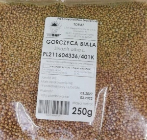 Gorczyca Biała na poplon roślina Miododajna 250g