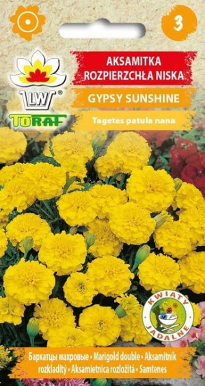 Toraf Nasiona Aksamitka GYPSY SUNSHINE 1 g
