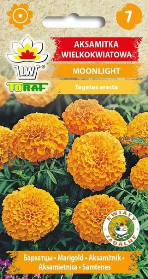 Toraf Nasiona Aksamitka MOONLIGHT pomarańczowa