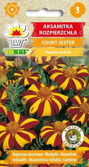 Toraf Nasiona Aksamitka rozpierzchła COURT JESTER