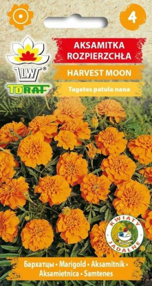 Toraf Nasiona Aksamitka Rozpierzchła HARVEST MOON