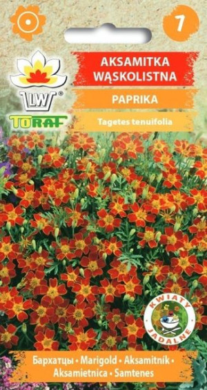 Toraf Nasiona Aksamitka wąskolistna Paprika
