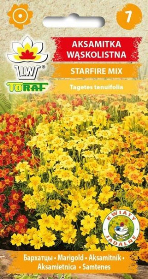 Toraf Nasiona Aksamitka wąskolistna Starfire mix