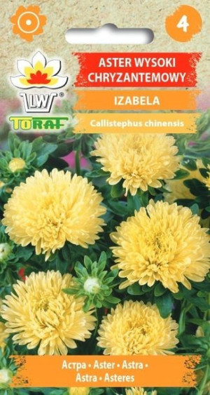 Toraf Nasiona Aster chryzantemowy Izabela żółty 1g