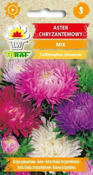 Toraf Nasiona Aster chryzantemowy MIX 1 g