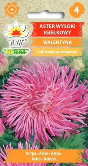 Toraf Nasiona Aster igiełkowy WALENTYNA różowy