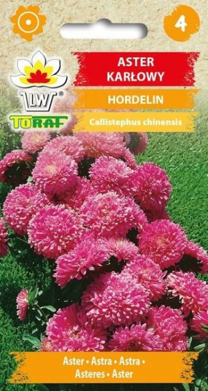 Toraf Nasiona Aster karłowy HORDELIN 1G
