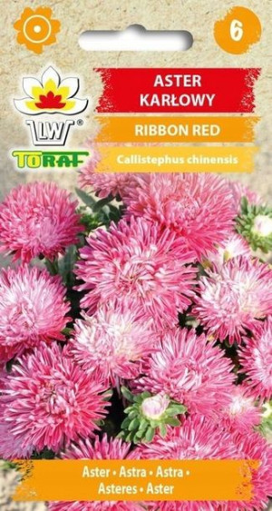Toraf Nasiona ASTER KARŁOWY RIBBON RED