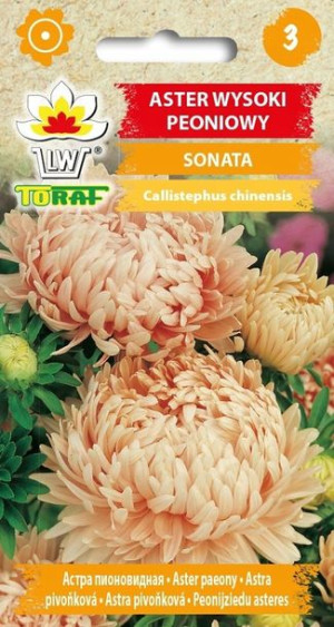 Toraf Nasiona Aster peoniowy Sonata cielisty 1g