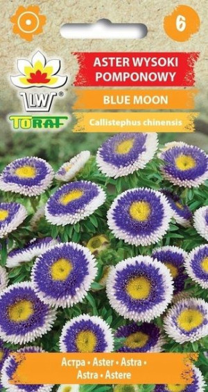 Toraf Nasiona ASTER POMPONOWY BLUE MOON