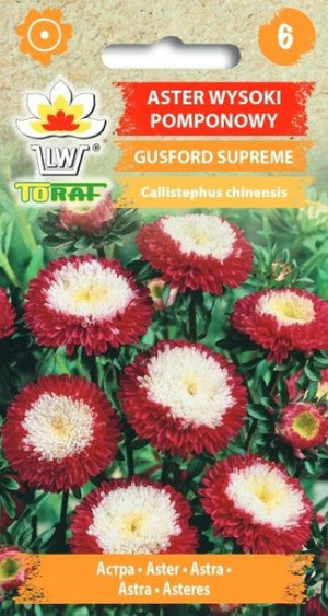 Toraf Nasiona Aster pomponowy Gusford Supreme 0,5G