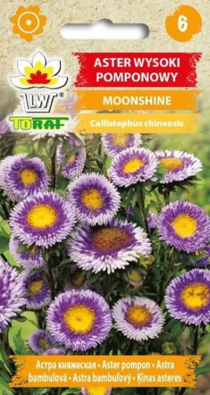 Toraf Nasiona Aster pomponowy Moonshine 0,5g