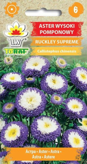 Toraf Nasiona Aster pomponowy Ruckley Supreme 0,5G