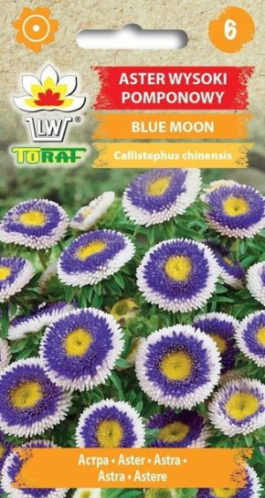 Toraf Nasiona Aster wysok pomponowy Blue Moon 0,5G