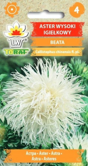 Toraf Nasiona Aster wysoki igiełkowy Beata biały