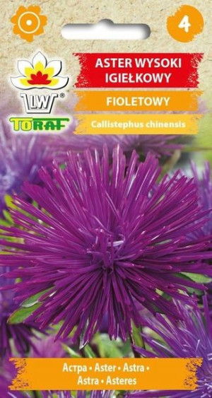 Toraf Nasiona Aster wysoki igiełkowy FIOLETOWY