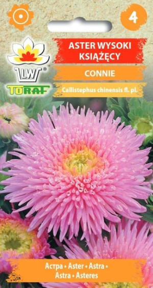 Toraf Nasiona Aster wysoki książęcy Connie 1G