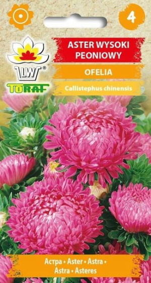 Toraf Nasiona Aster wysoki peoniowy Ofelia różowy