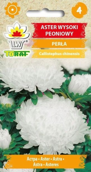 Toraf Nasiona Aster wysoki peoniowy PERŁA 1g