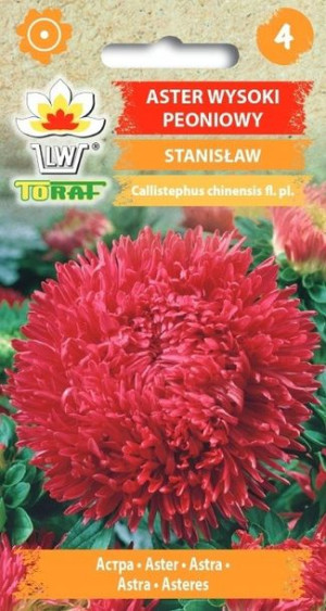Toraf Nasiona Aster wysoki peoniowy Stanisław 1g