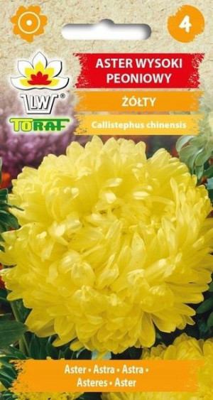 Toraf Nasiona ASTER Wysoki PEONIOWY ŻÓŁTY