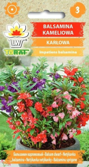 Toraf Nasiona Balsamina kameliowa karłowa 0,5g