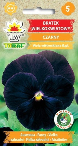 Toraf Nasiona Bratek wielkokwiatowy CZARNY 0,2G