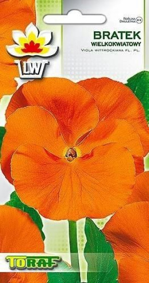 Toraf Nasiona Bratek wielkokwiatowy POMARAŃCZOWY