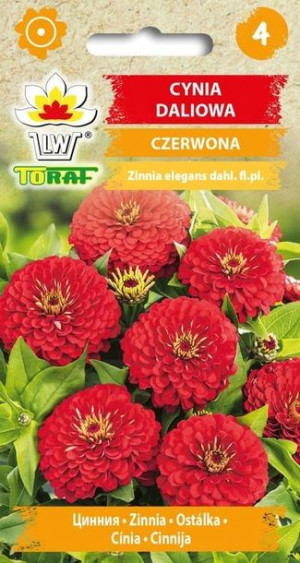 Toraf Nasiona Cynia daliowa czerwone 1g