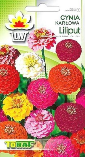 Toraf Nasiona Cynia daliowa karł. Liliput MIX 0,5g