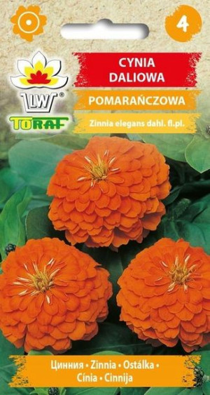 Toraf Nasiona Cynia daliowa POMARAŃCZOWA 1g