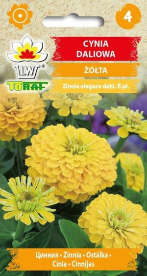 Toraf Nasiona Cynia daliowa ŻÓŁTA 1g