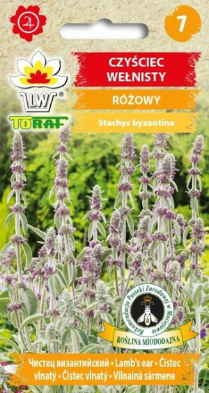Toraf Nasiona Czyściec wełnisty 0,2G