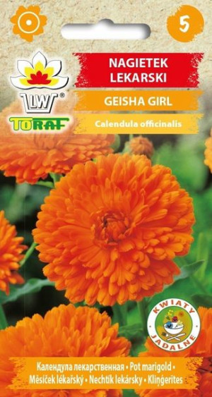 Toraf Nasiona Nagietek lekarski GEISHA GIRL 1G