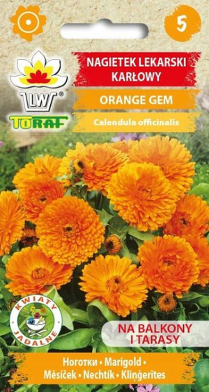 Toraf Nasiona Nagietek lekarski Orange Gem 1G