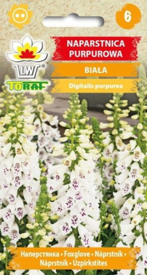 Toraf Nasiona Naparstnica purpurowa biała