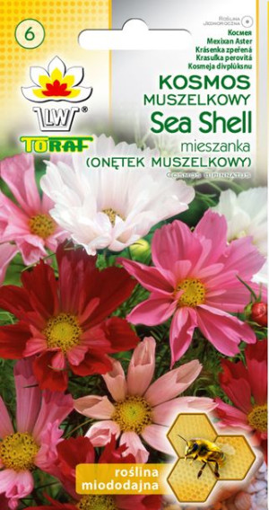 Toraf Nasiona Onętek Kosmos SEA SHELL