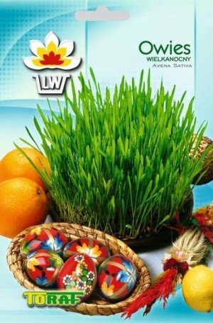 Toraf Nasiona Owies wielkanocny 30g