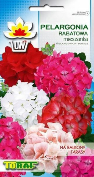 Toraf Nasiona Pelargonia rabatowa mix