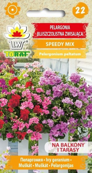 Toraf Nasiona Pelargonia zwisająca Speedy mix