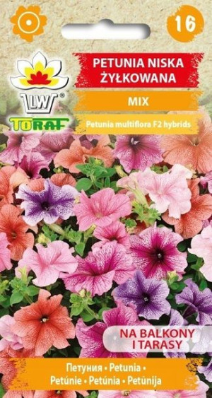 Toraf Nasiona Petunia niska żyłkowana mix