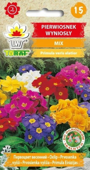 Toraf Nasiona Pierwiosnek wyniosły mix
